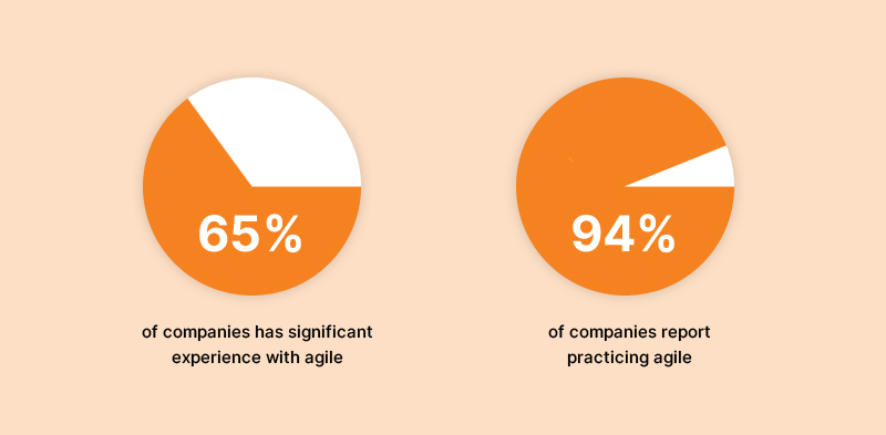 State of Agile Practice