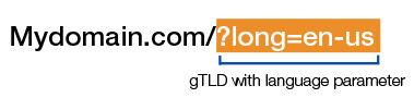 gTLD with language parameters - International SEO blog